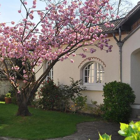 Maison D'Hotes Paris Riverside Saint-Maur-des-Fossés Eksteriør bilde