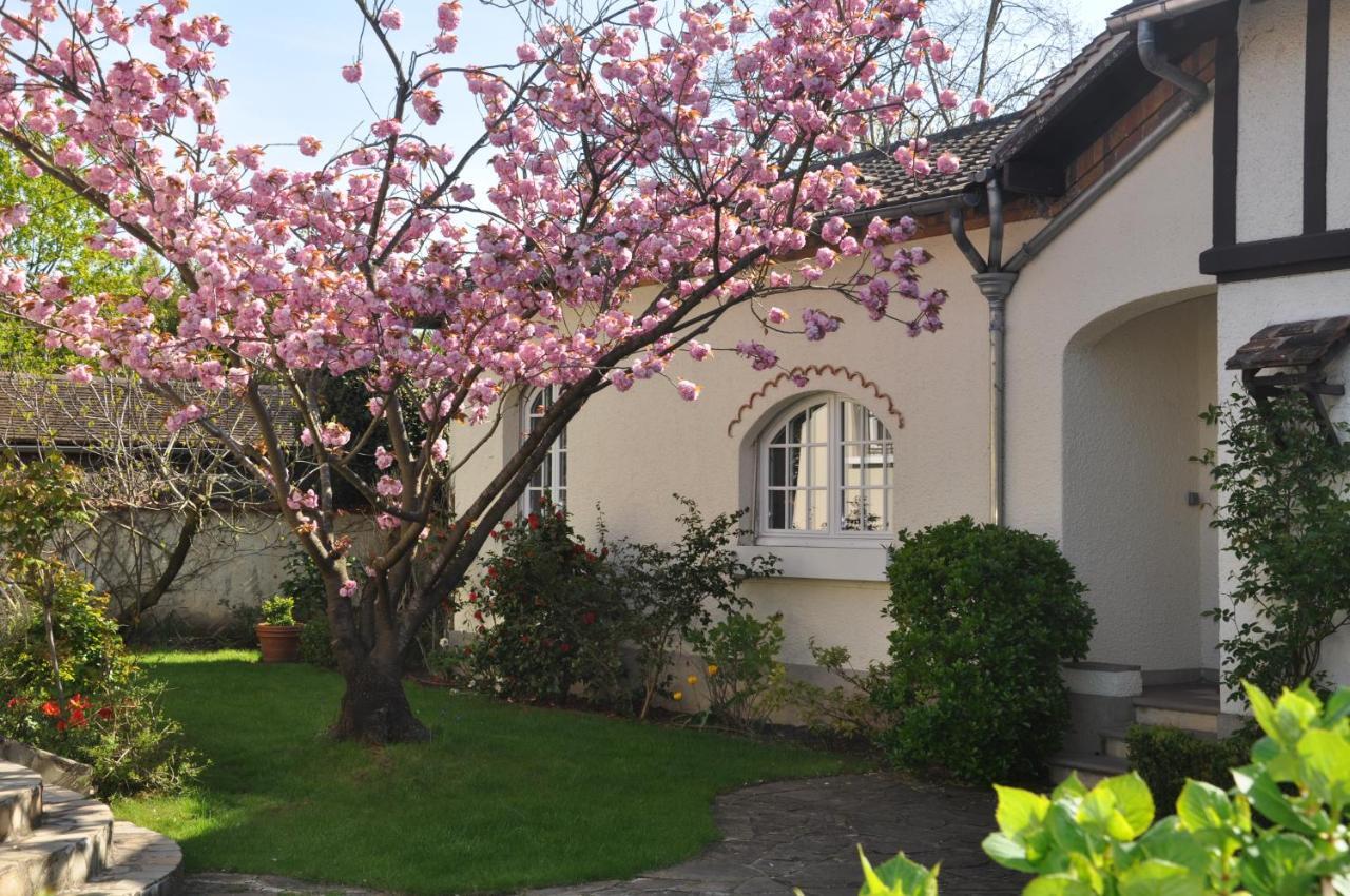 Maison D'Hotes Paris Riverside Saint-Maur-des-Fossés Eksteriør bilde